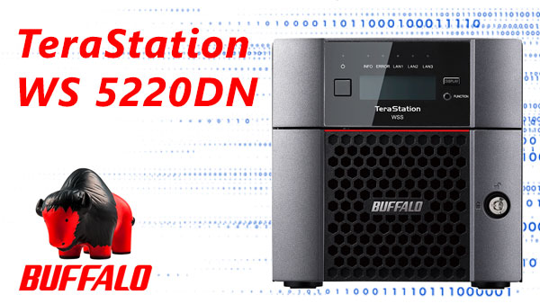 Récupération RAID 1/0 Buffalo TeraStation WS5220DN 2 baies — causes, risques, solutions
